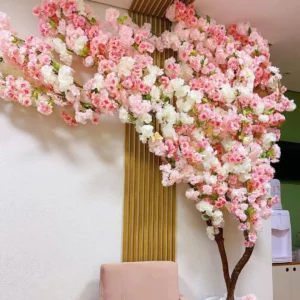 درختچه شکوفه ال دیانا