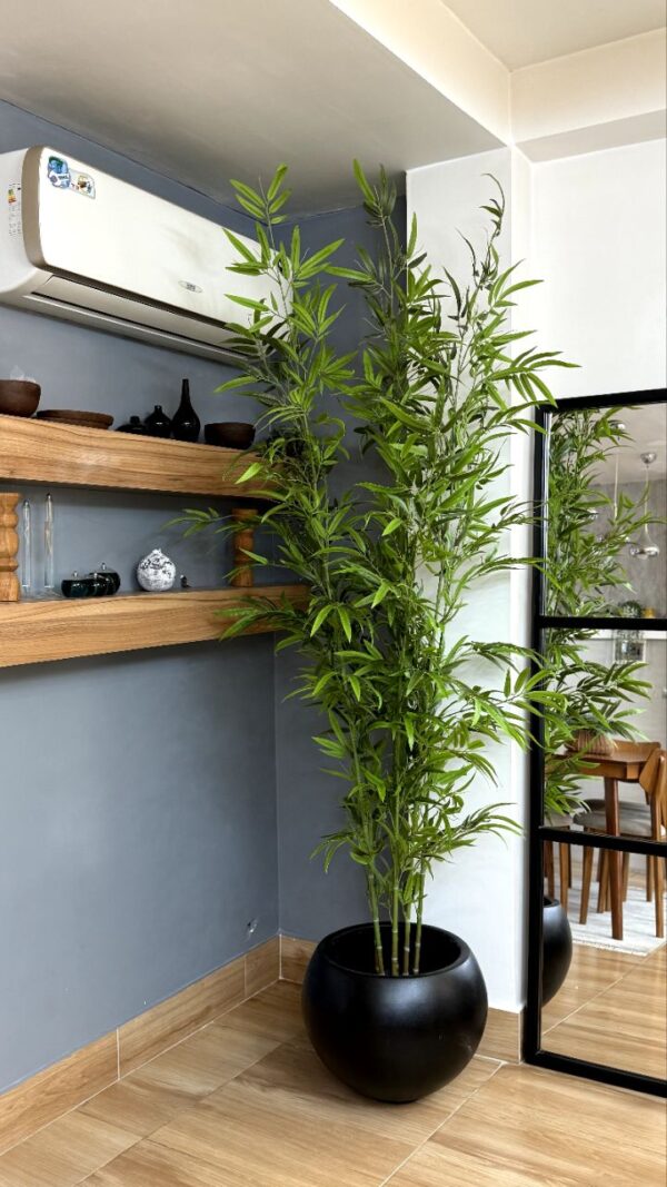 IMG_20250924_134818_864