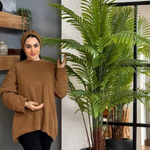 درختچه فینیکس تنه قرمز با ارتفاع 170